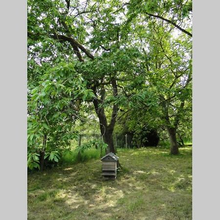 Miller'S Farm. Cottage On The Auhtie For 2 Hem-Hardinval Exterior foto