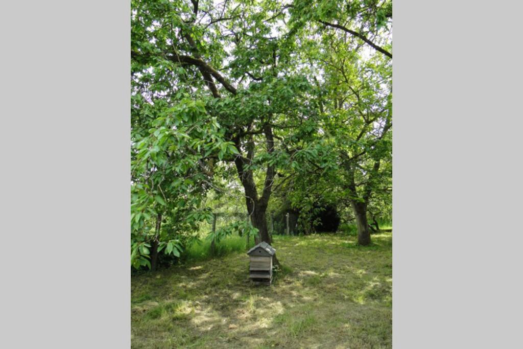 Miller'S Farm. Cottage On The Auhtie For 2 Hem-Hardinval Exterior foto